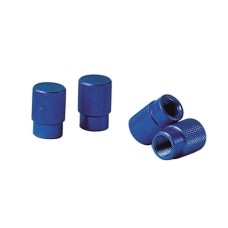 Szelepsapka 4db-os raszteres kék 02501