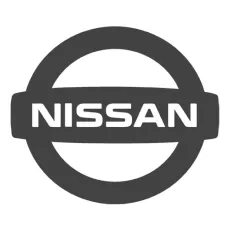 Nissan javítófesték