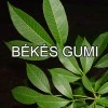 Békési