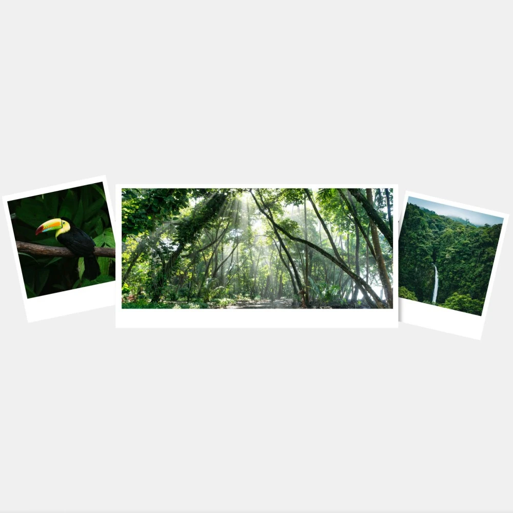 Illatosító, prémium Imao Costa Rica