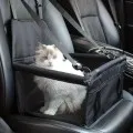 Kutya, macska és kisállat ülés autóba A07005
